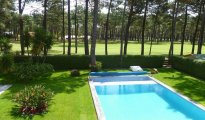 Aroeira photo #1