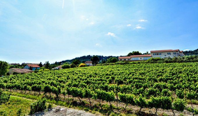 Mont Ventoux Holiday Home rental with private swimming pool