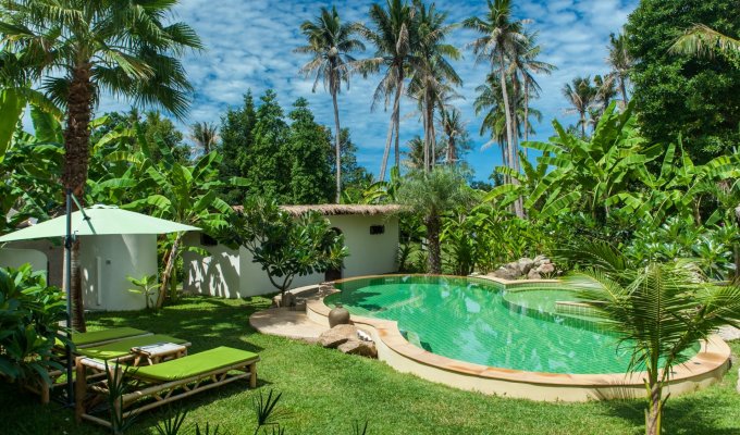 Thailand Vacation Rental Villa in Koh Phangan 5 rooms with private pool and staff included 