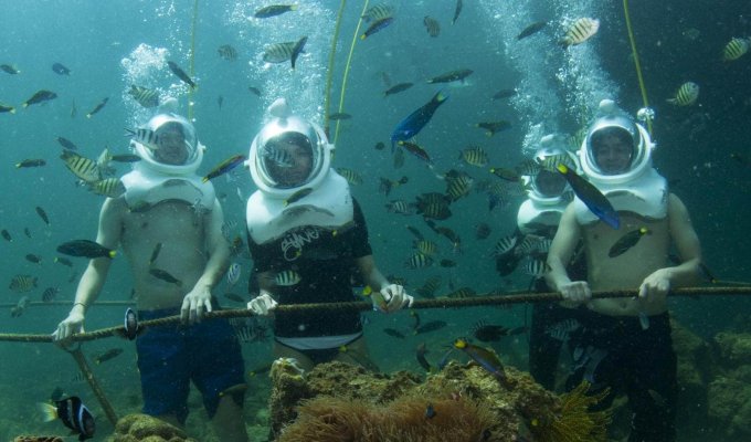 Sea Walking at Manukan Island