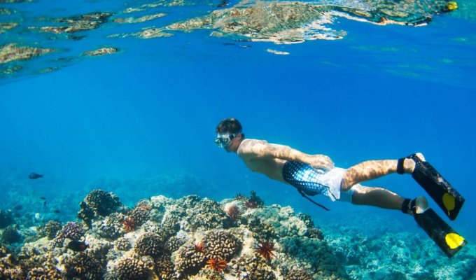 Snorkeling in Tun Abdul Rahman Park