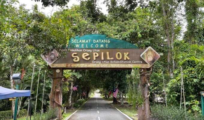 Sepilok Orang Utan Rehabilitation Centre