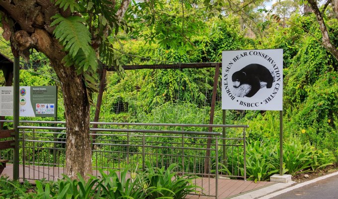 Borneon Sun Bear Conservation Centre