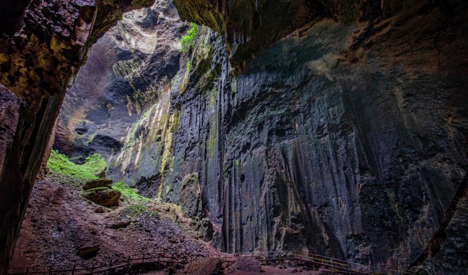 Gomantong Caves