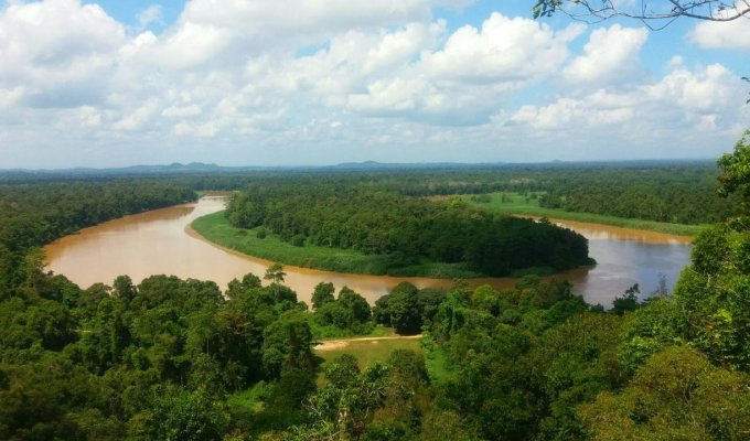 Kinabatangan river