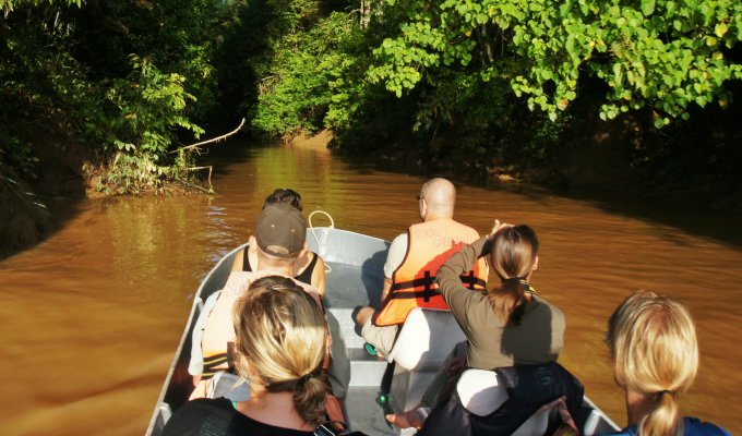 Kinabatangan river cruise