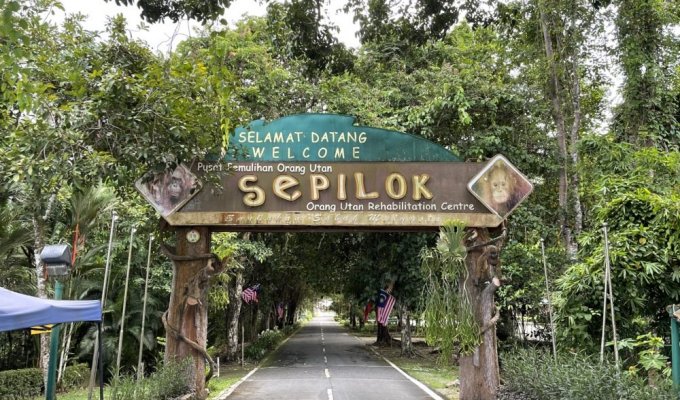 Sepilok Orang Utan Rehabilitation Centre