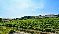 Mont Ventoux photo #7