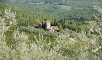 Chianti Siena photo #1
