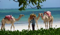 Diani Beach photo #14