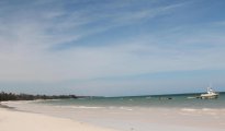 Diani Beach photo #14