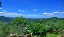 Chianti Siena photo #14