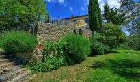 Chianti Siena photo #4