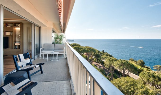 Luxury partment rental in Nice sea view Pool AC Parking