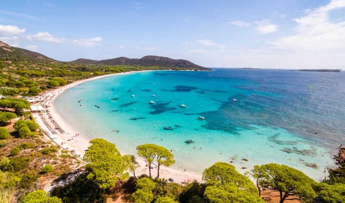 Palombaggia Beach 1 mins walking 