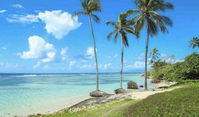 Beach