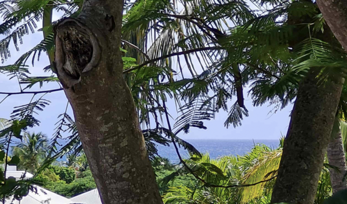 Villa Rental in Sainte-Anne, Guadeloupe: Private Pool, Walking Distance to the Beach, 16 pers