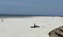 Diani Beach photo #14