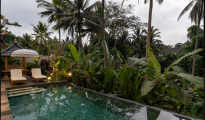 Ubud photo #14