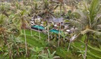 Ubud photo #2