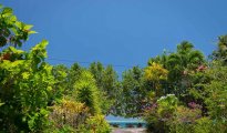 Bora Bora photo #2