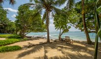 Galle photo #10