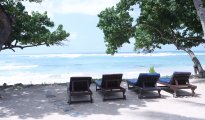 Galle photo #13