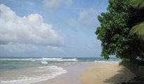 Galle photo #14