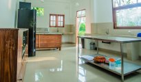 Galle photo #11