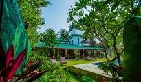 Galle photo #13