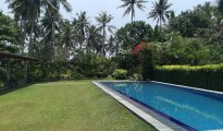 Galle photo #2
