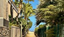 La Saline les Bains photo #13