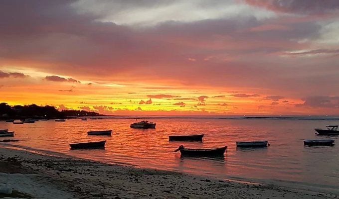 Mauritius Beachfront Bungalow in Trou aux Biches 