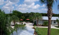 St Augustine photo #8