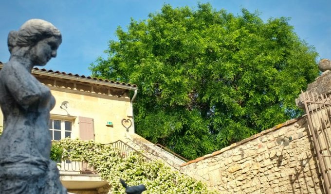 Saint Remy de Provence Luxury villa rentals  private pool reception & wedding