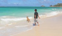 Kailua - Lanikai Beach photo #4