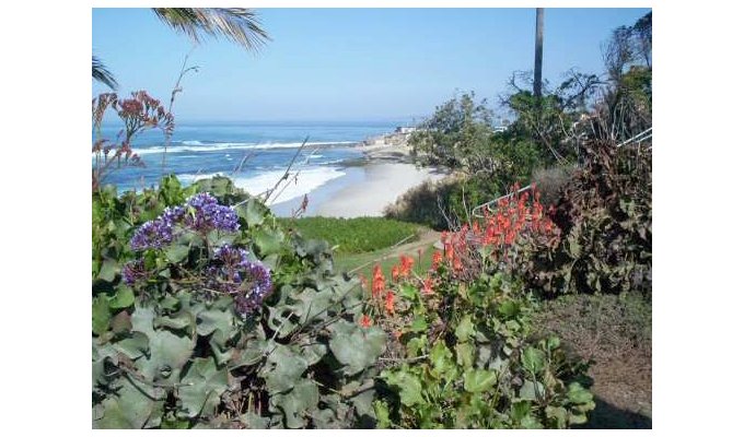 La Jolla Beaches