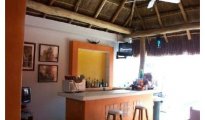 Cozumel photo #7