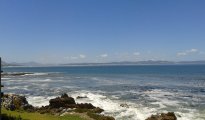 Hermanus photo #13