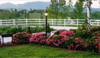 Greenville - Cedar Mountains photo #1