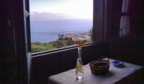 Icod de los vinos photo #3