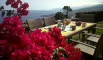 Icod de los vinos photo #7