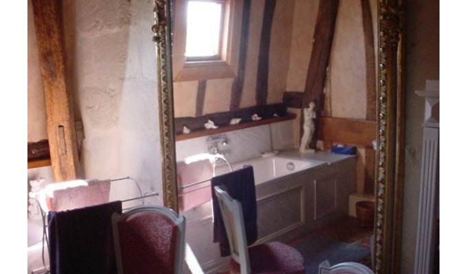 Pays de la Loire Manor House Holiday rentals Saumur with private pool