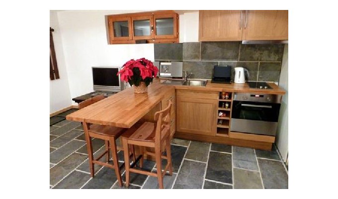 Rental flat 2/3 pers near Verbier in Valais canton