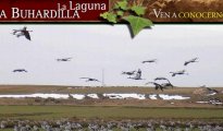 Gallocanta photo #7