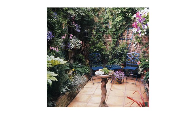 Charming Bed & Breakfast in a quiet street in South Central London - Bed and Breakfast London England UK Guest House B&B