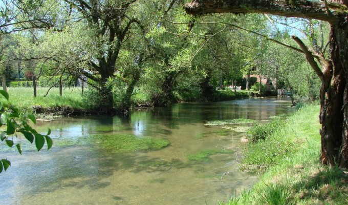 The river in front the cottage