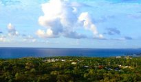 Vieques island photo #9