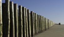 Noirmoutier Island photo #12