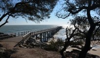 Noirmoutier Island photo #13